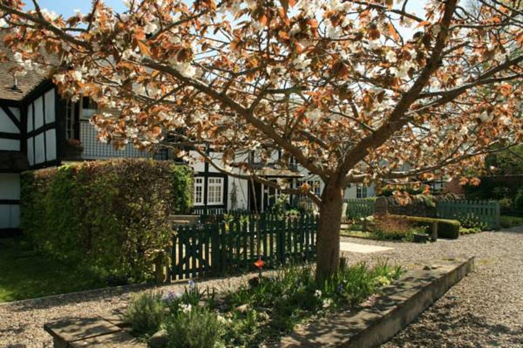 Peel Cottage, Dilwyn Ruang foto